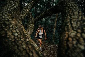 BIB: 
                            <button type="button" onclick="openModal(25675198)" class="btn btn-primary btn-sm float-right btn-popup" data-toggle="modal" data-target=".modal-high-quality">
                        <i class="fas fa-shopping-cart"></i> Add to Cart
                    </button>
                                            <button type="button" onclick="isThisMe(25675198, true)" class="btn btn-success btn-sm float-right btn-popup btn-isme hidden" data-toggle="tooltip" data-placement="bottom" title="นี่คือรูปของคุณใช่ไหม คลิกที่นี่เพื่อเอาเข้าอัลบั้ม">
                        <i class="fas fa-plus"></i> Add to album
                    </button>
                    <button type="button" onclick="isThisMe(25675198, false)" class="btn btn-warning btn-sm float-right btn-popup btn-isnotme hidden">
                        <i class="fas fa-ban"></i> Remove from album
                    </button>